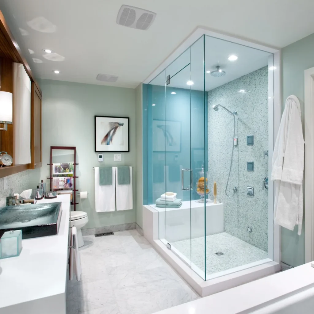 Master Bathroom ideas