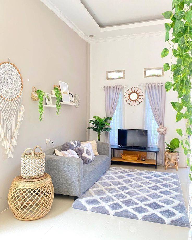 Living Room Ideas