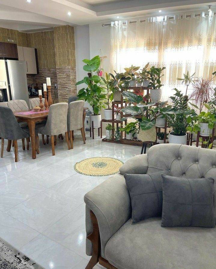Living Room Ideas