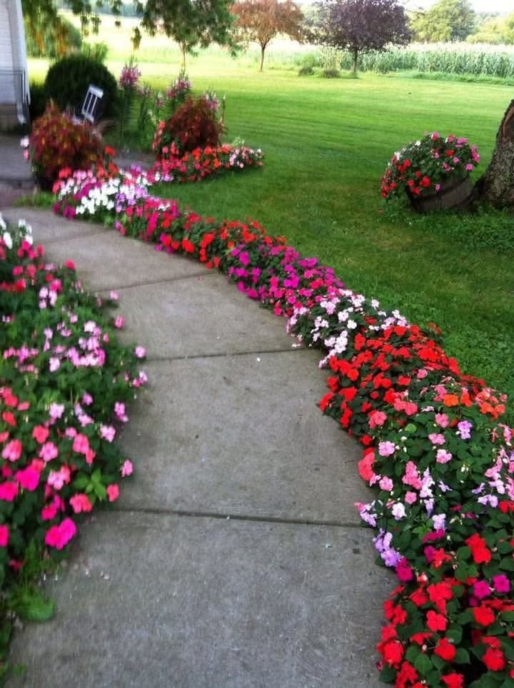 garden decor ideas