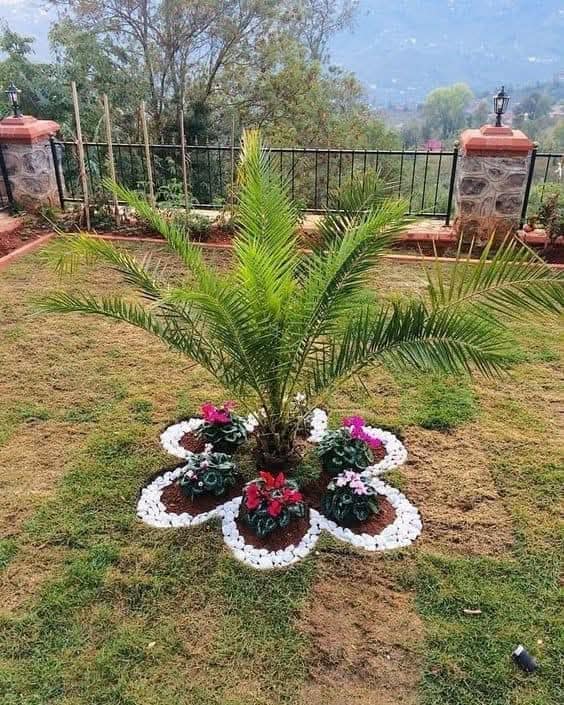 garden decor ideas