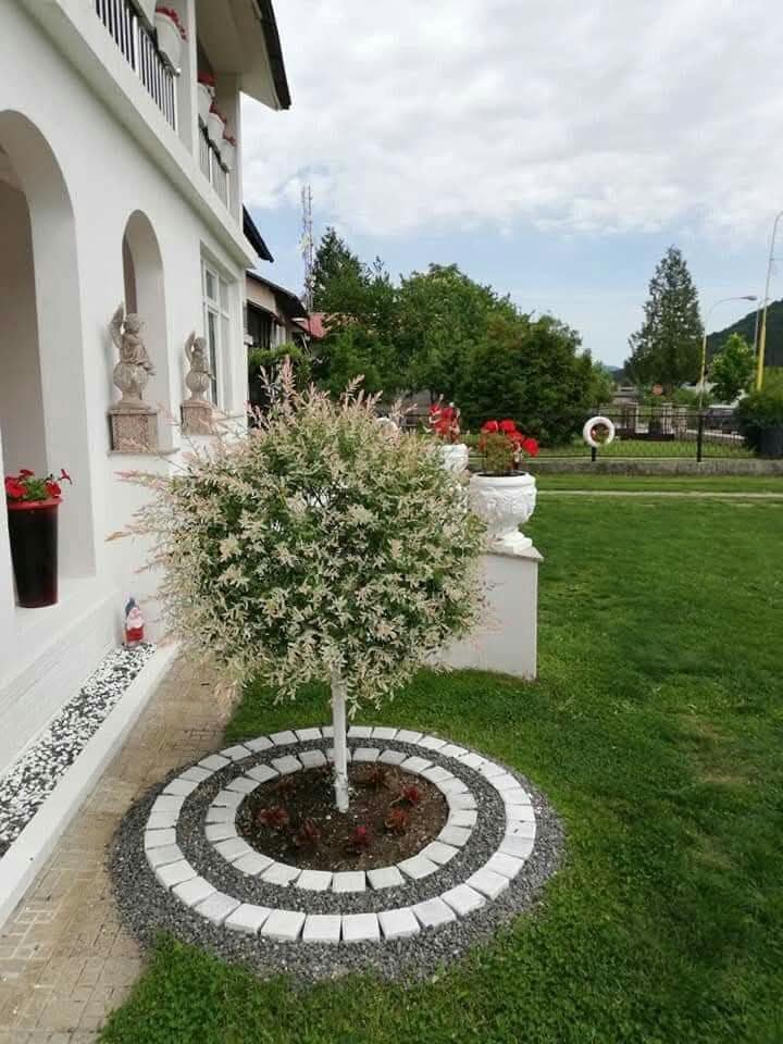 garden decor ideas
