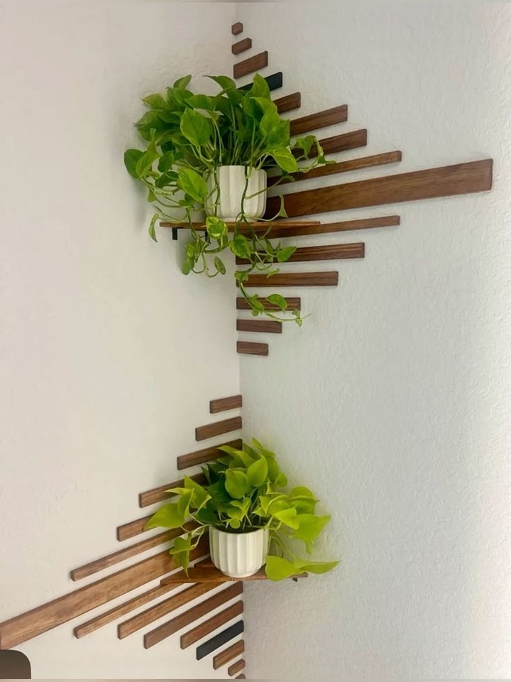 Plant Shelf Ideas
